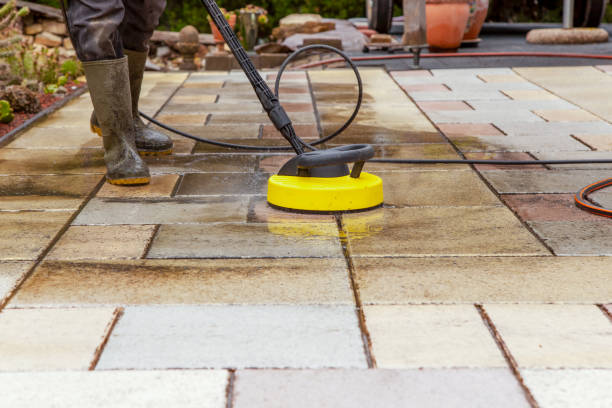 Best Boat and Dock Cleaning  in Mantachie, MS