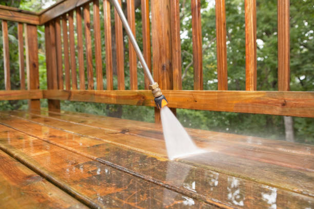 Professional  Pressure Washing Services in Mantachie, MS