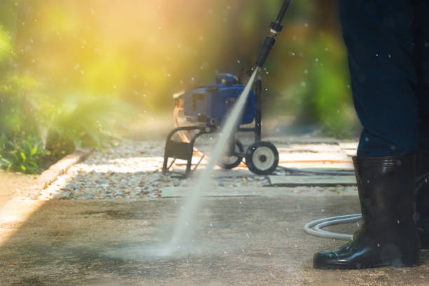 Best Solar Panel Cleaning  in Mantachie, MS
